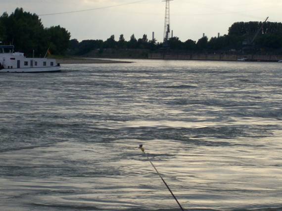 100_1568.JPG